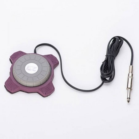 Ez - Iwork Footswitch